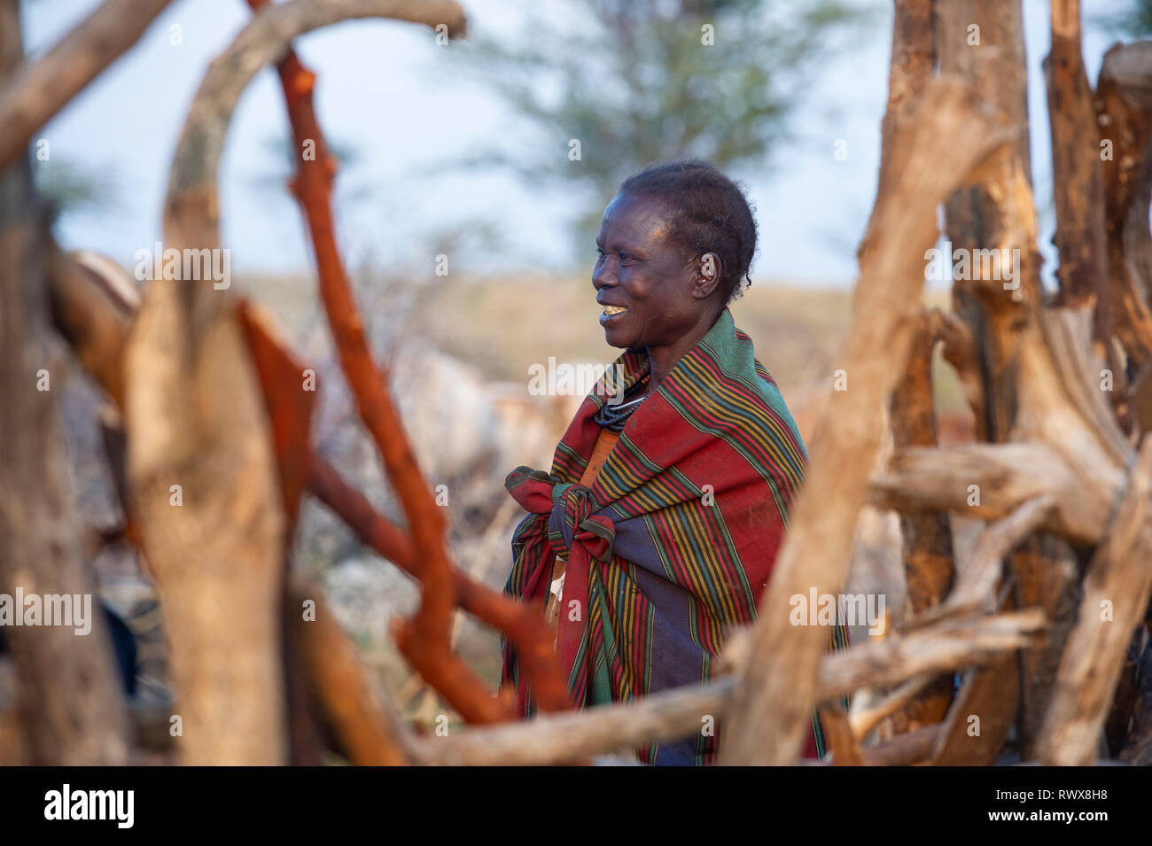 Karamojong donna nel kraal del bestiame nel villaggio per il nord Uganda Foto Stock