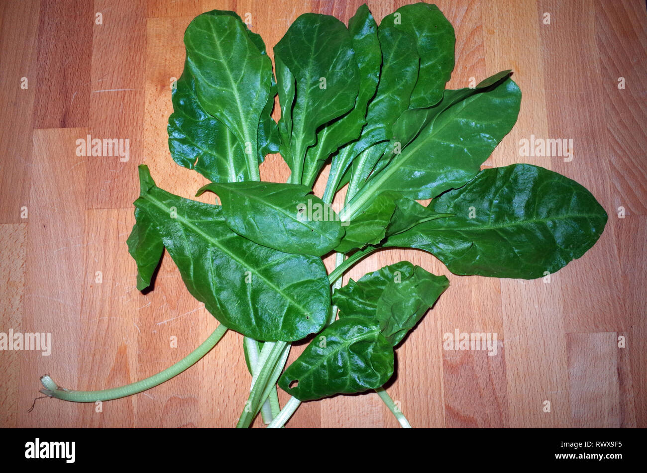Chard (Beta vulgaris) vicino sul tavolo di legno Foto Stock