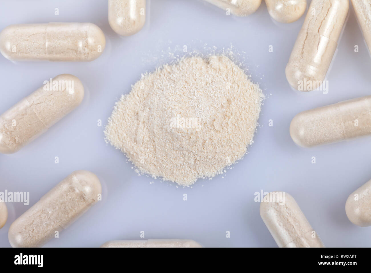 Il Bacillus subtilis. Pillole di batteri buoni per la salute degli esseri umani isolati su bianco. Foto Stock