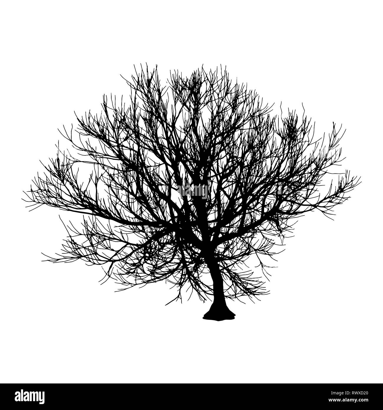 Nero albero secco in inverno o in autunno silhouette su sfondo bianco. illustrazione Foto Stock