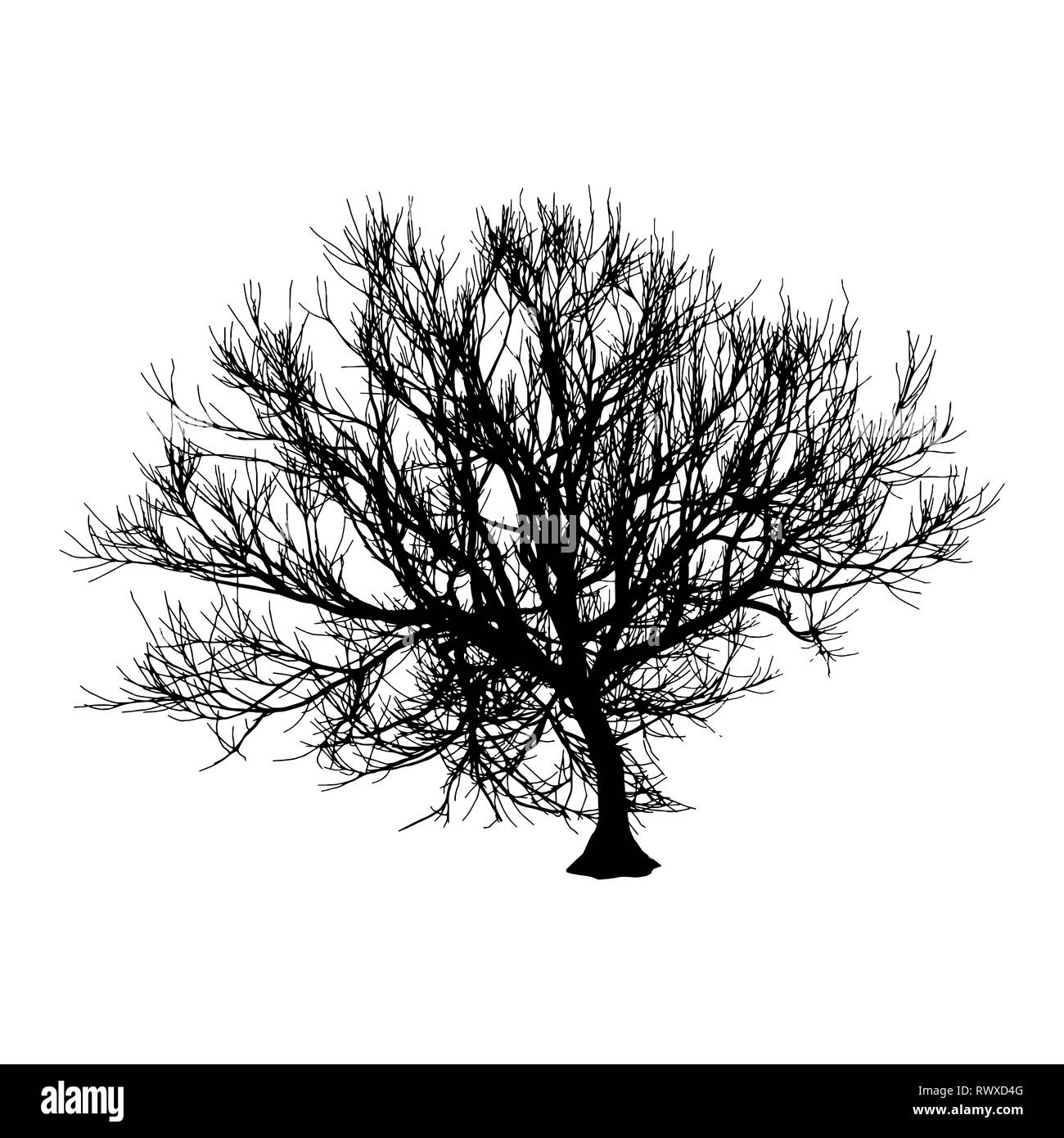 Nero albero secco in inverno o in autunno silhouette su sfondo bianco. illustrazione Foto Stock