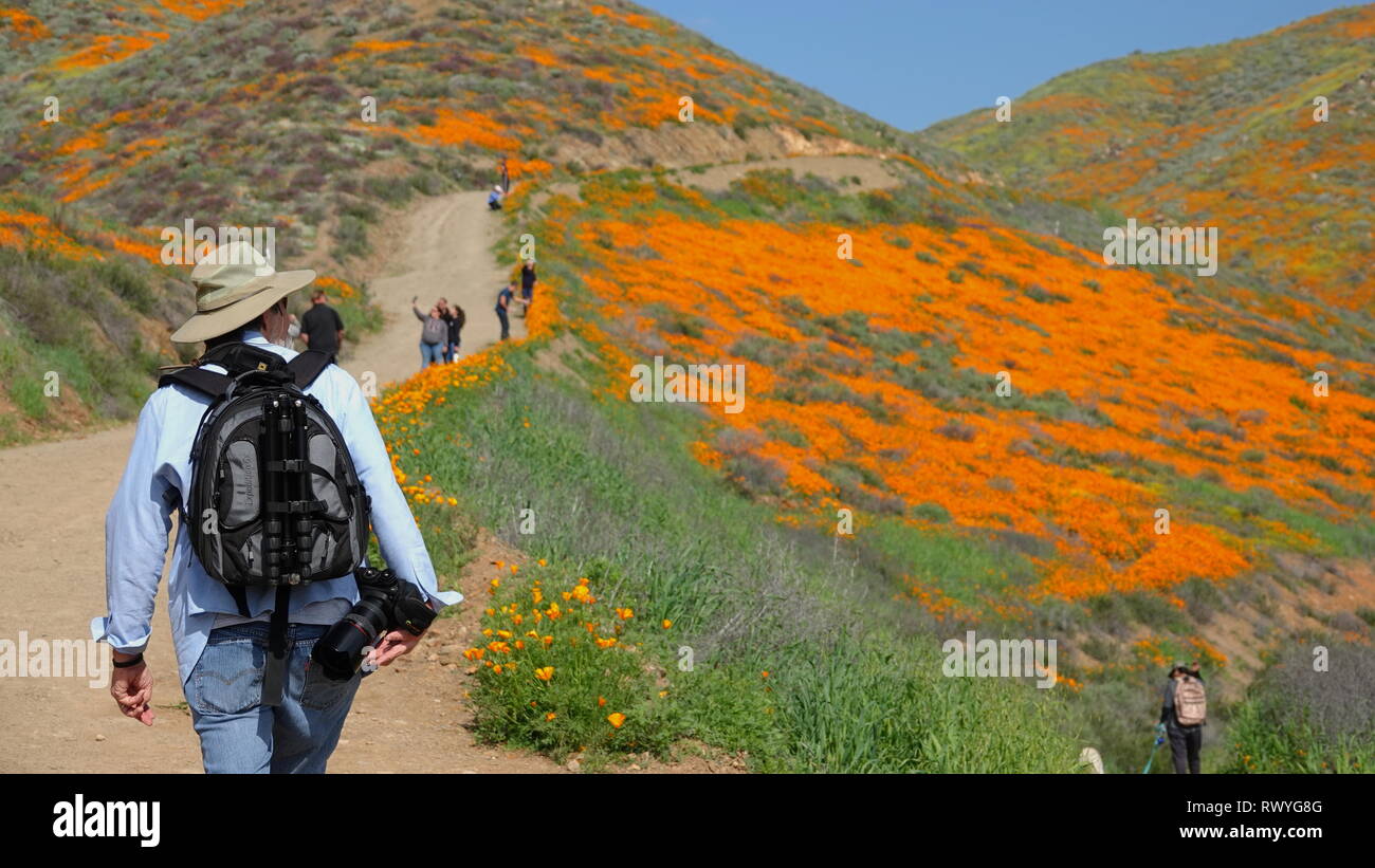 Le persone accorrono per i sentieri a prendere nel 2019 California super bloom Foto Stock