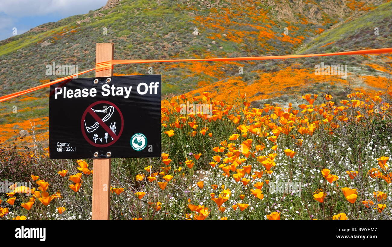 Un segno ricorda alla popolazione di rimanere su sentieri di cui gode la super bloom Foto Stock