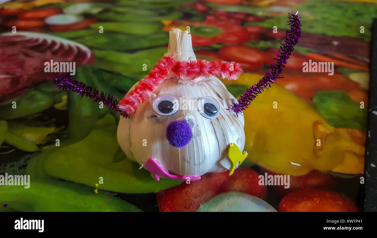 Isle of Wight, Regno Unito - 28 agosto 2018: decorazione di bulbi di aglio Aglio in fattoria, populat toutist destinazione Foto Stock