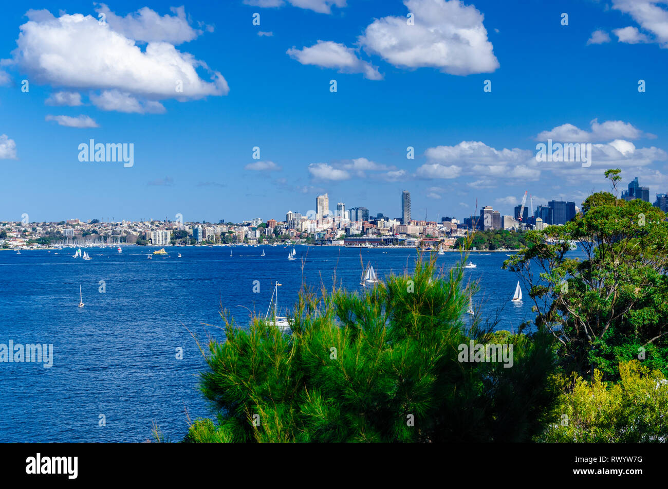 Il porto di Sydney: vista dal Taronga Zoo su Rose Bay. Foto Stock