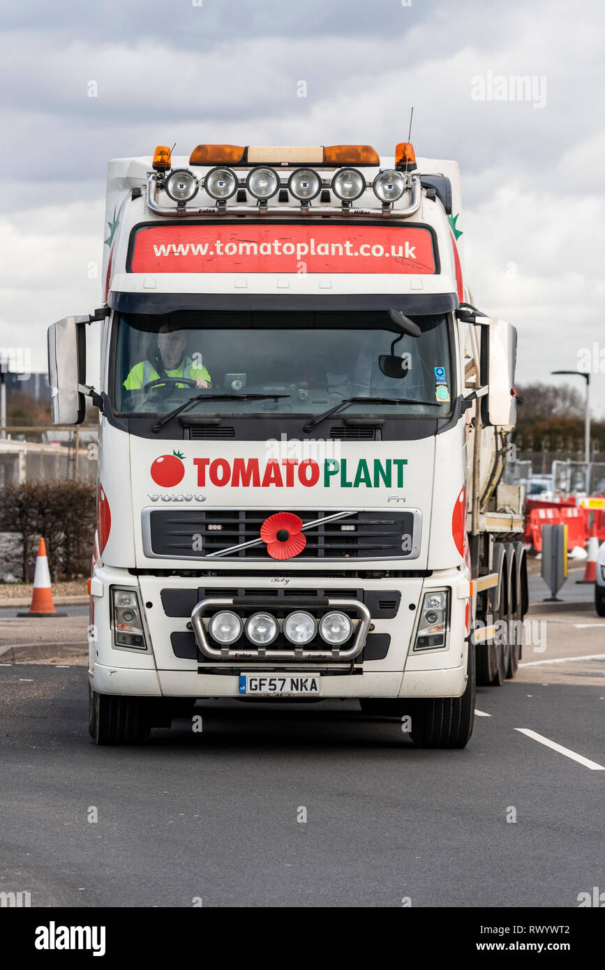 Pianta di pomodoro industria della costruzione di veicoli pesanti. Volvo FH HGV cabina. Attività commerciali Foto Stock