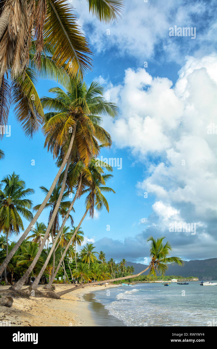 Las Galeras Beach si trova vicino all'accogliente villaggio di Las Galeras, in Samana. Questa affascinante spiaggia mantiene un sacco di attività con le quali è possibile avere fu Foto Stock