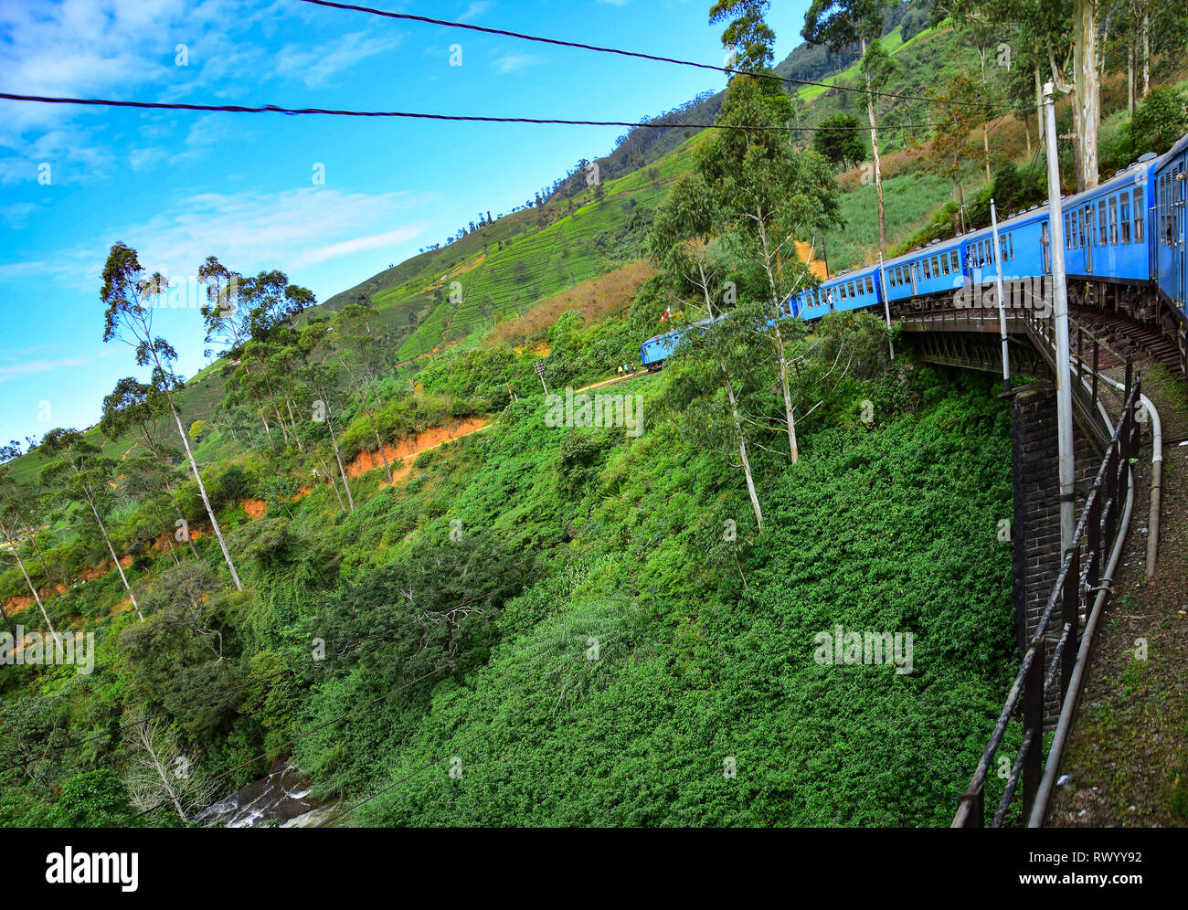 Sri Lanka Treno Blu ride voce attraverso hill country e le piantagioni di tè da Colombo a Kandy, Nuwara Eliya, Ella, Badulla, Sri Lanka Foto Stock