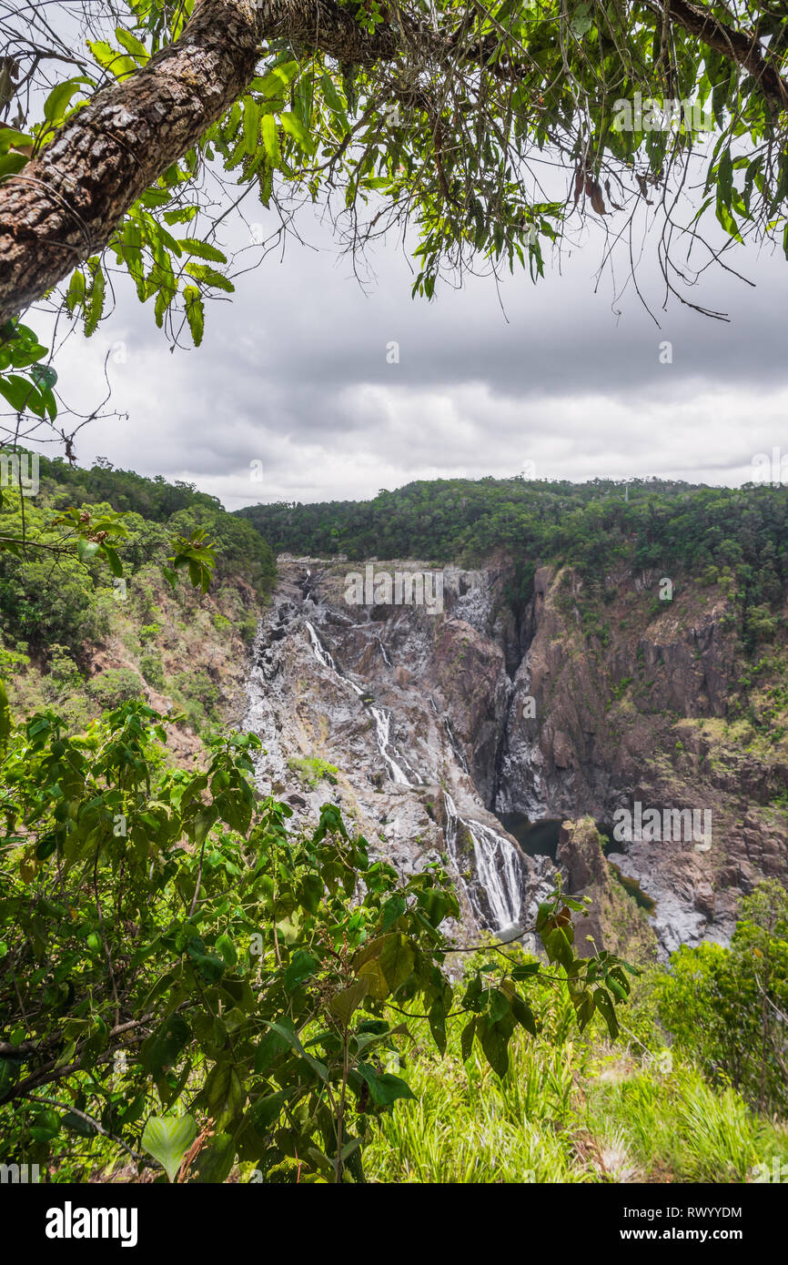 Barron cascata nella foresta pluviale Foto Stock