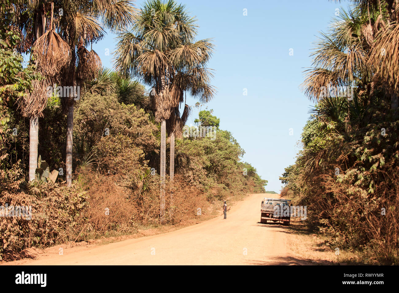 Mato Grosso Membro, Brasile. Un uomo con un fucile sta esaminando la foresta pluviale con accanto un piccolo carrello parcheggiato a fianco del MT322 strada sterrata. Foto Stock