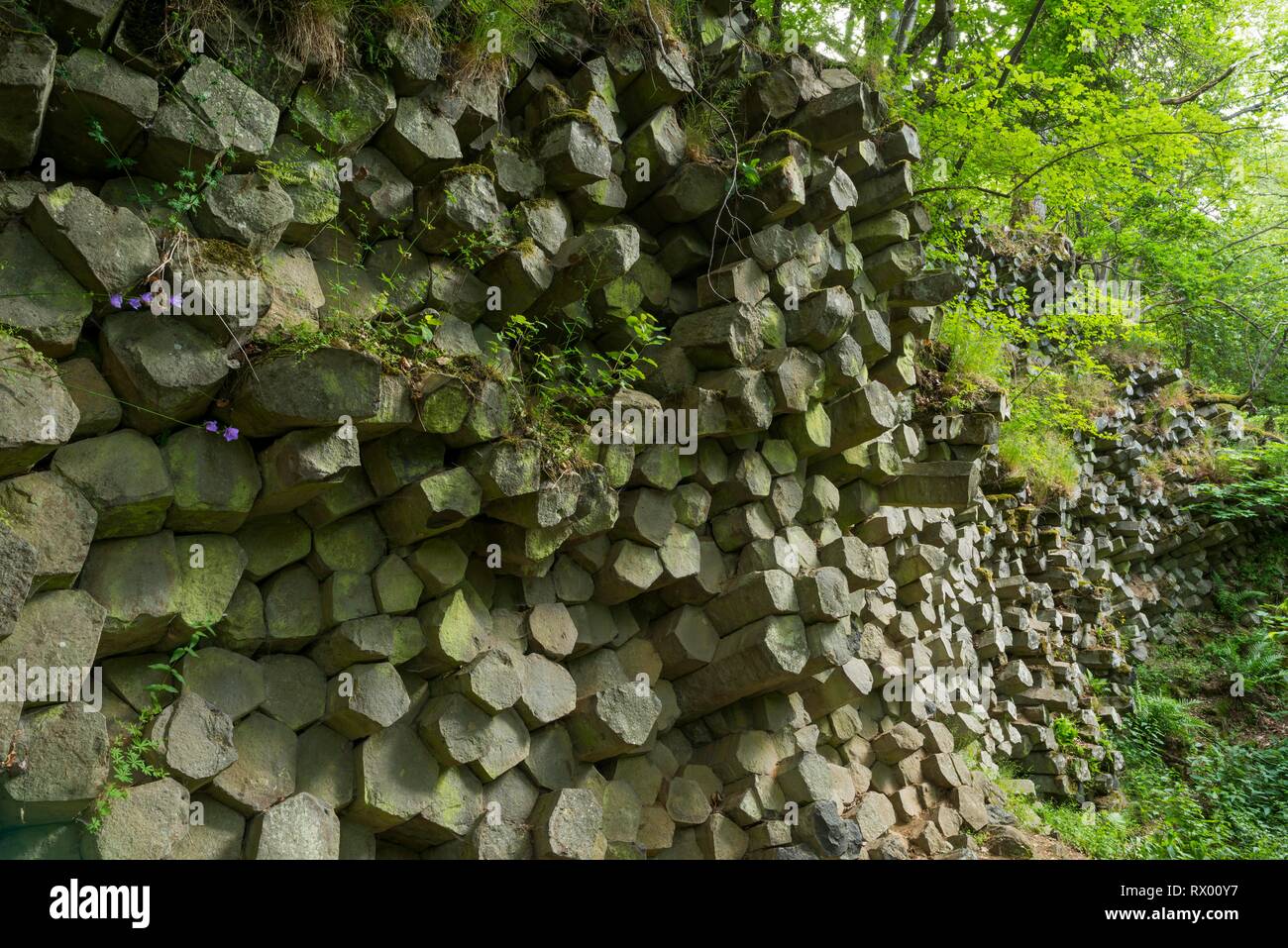 Prismi di basalto, Gangolfsberg Rhön, Riserva della Biosfera, Baviera, Germania Foto Stock
