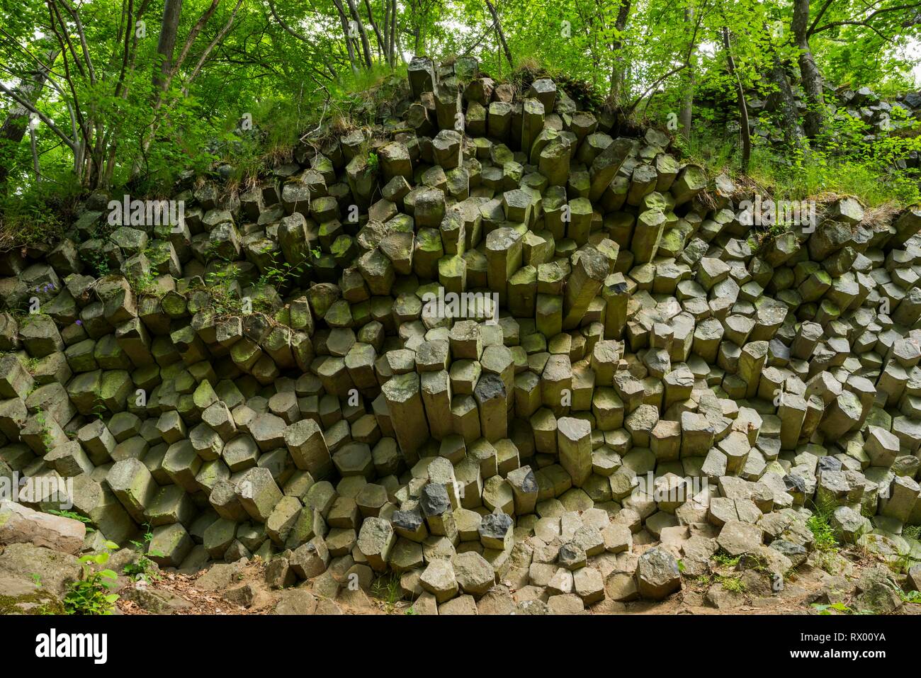 Prismi di basalto, Gangolfsberg Rhön, Riserva della Biosfera, Baviera, Germania Foto Stock