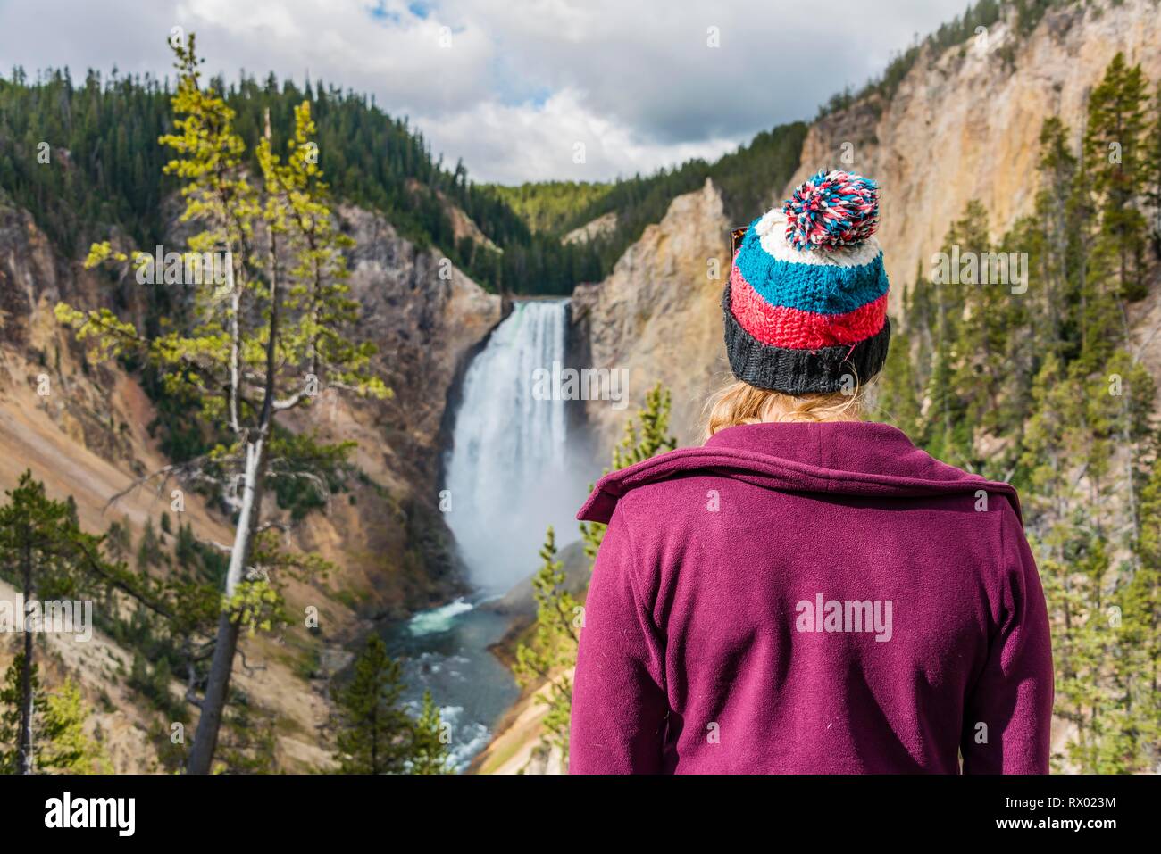Giovane donna guardando una cascata, Red Rock Viewpoint, Cascate Inferiori, cascata in una gola, il Grand Canyon di Yellowstone River Foto Stock
