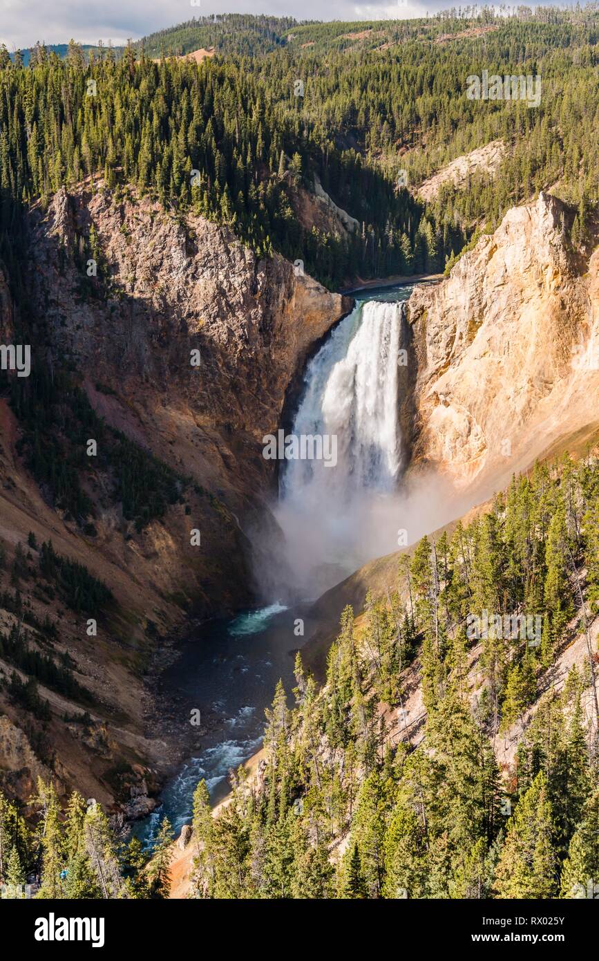 Le cascate Inferiori, cascata in una gola, il Grand Canyon di Yellowstone River, vista dal North Rim, Red Rock Viewpoint Foto Stock