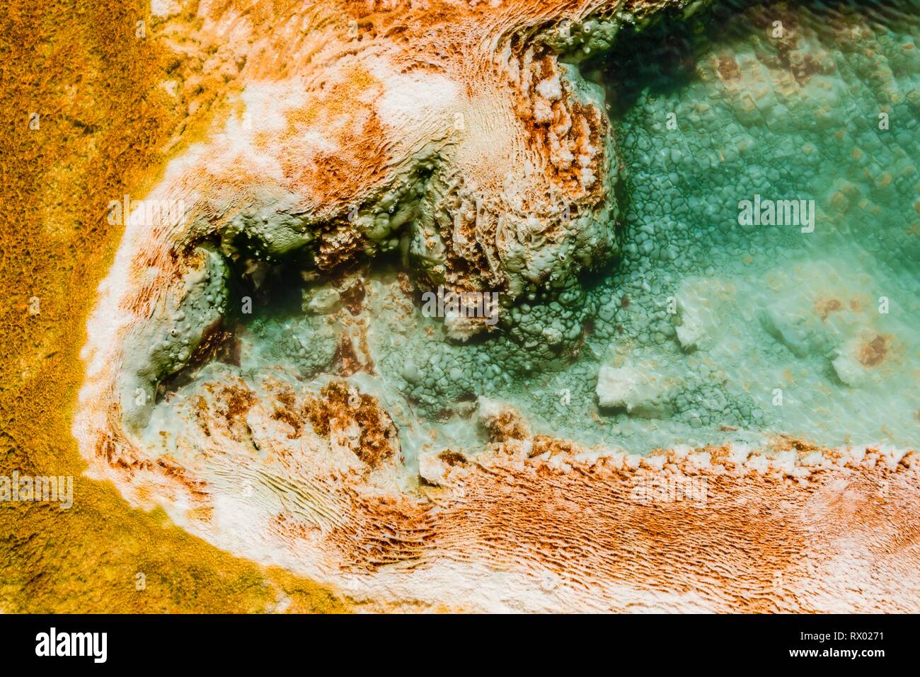 Dettaglio foto, primavera calda con orange di depositi di minerali e di colonie batteriche, molle tavolozza, terrazzi superiori Foto Stock