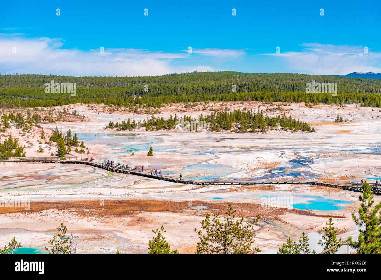 Geyser e sorgenti calde, depositi minerali, vista di Norris Back Basin con il sentiero per turisti, Noris Geyser Basin Foto Stock