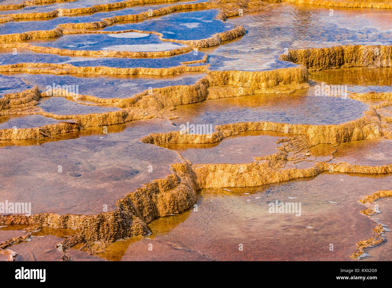 Terrazze di agglomerato, hot springs, arancione di depositi di minerali, molle tavolozza, terrazzi superiori, Mammoth Hot Springs Foto Stock