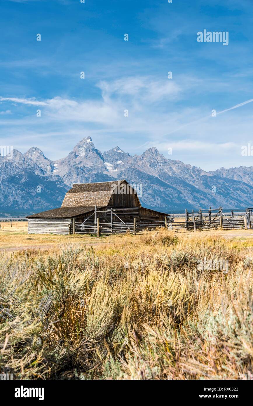 Storico old barn nella parte anteriore del Teton Range, T.A. Moulton Barn, Fila Mormone Historic District, Grand Teton National Park Foto Stock