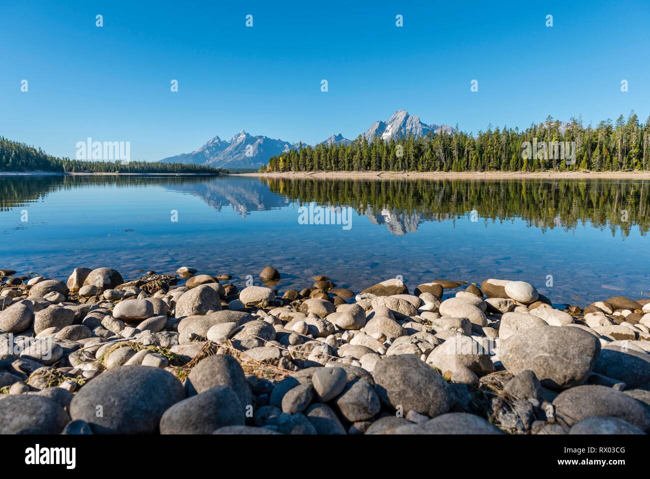 Le montagne si riflette nel lago, Colter Bay Bay, il lago Jackson, gamma Teton Mountain Range, Grand Teton National Park, Wyoming Foto Stock