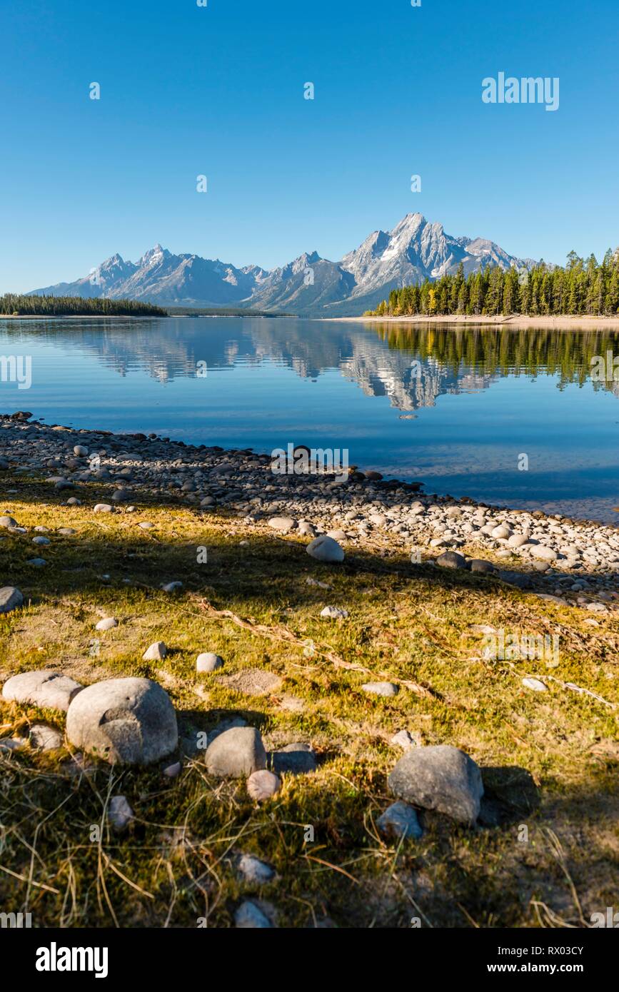 Le montagne si riflette in un lago, Colter Bay Bay, il lago Jackson, gamma Teton Mountain Range, il Parco Nazionale del Grand Teton, Wyoming USA Foto Stock