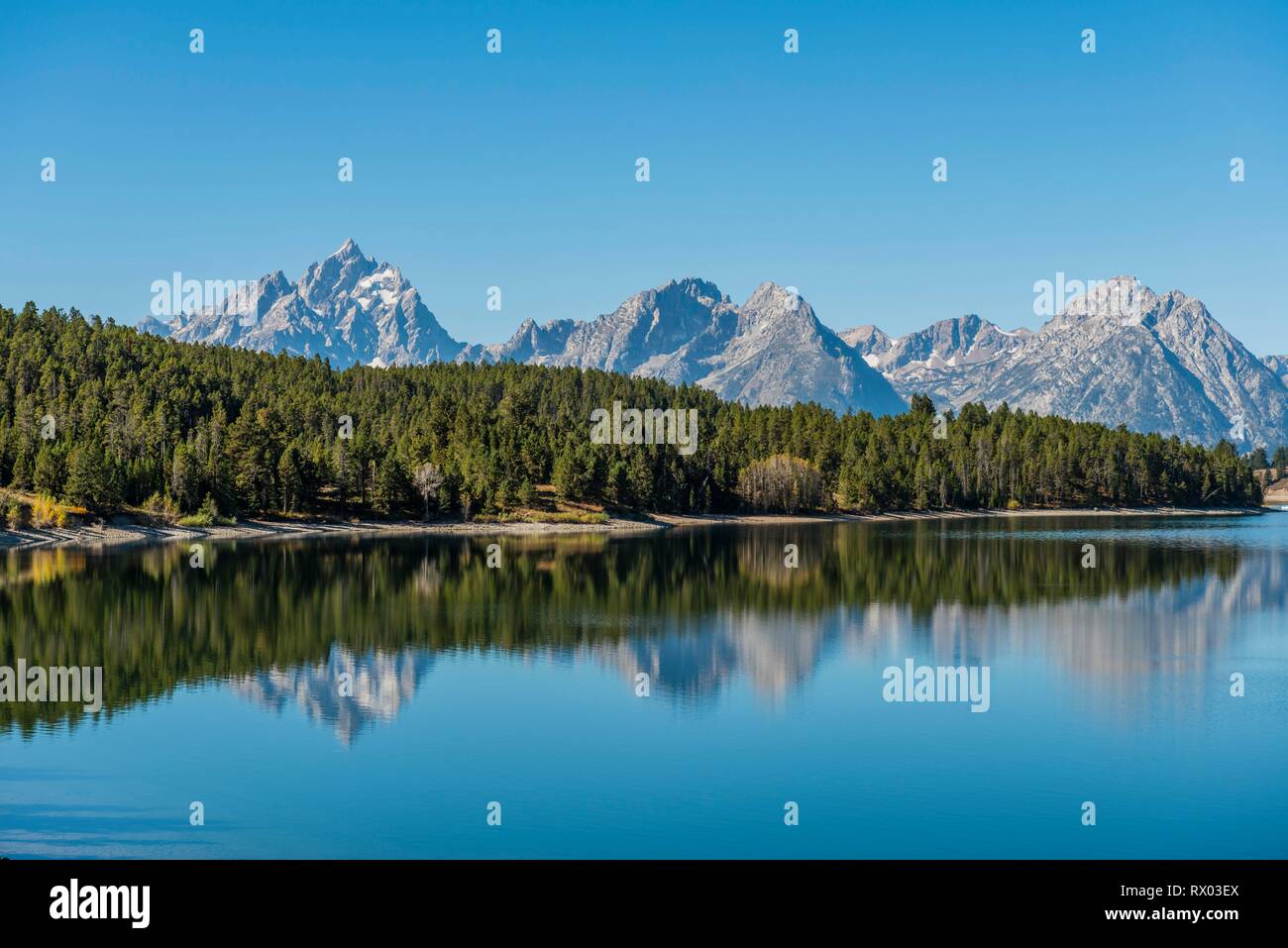 Le montagne si riflette nel lago, il lago Jackson, gamma Teton mountain range, il Parco Nazionale del Grand Teton, Wyoming USA Foto Stock