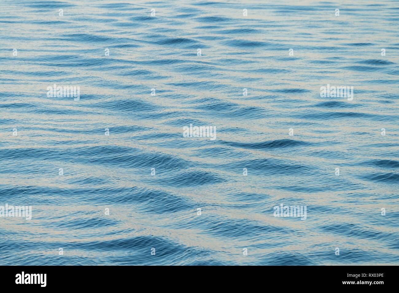 La superficie del mare, Mare di Groenlandia, Spitsbergen, Svalbard, Norvegia Foto Stock
