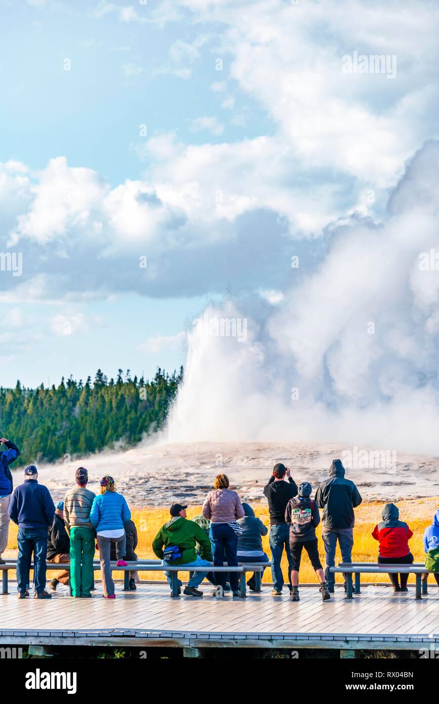 I turisti osservare Eruzione del geyser Old Faithful, il Parco Nazionale di Yellowstone, Wyoming USA Foto Stock