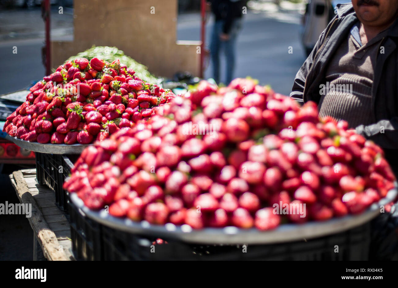 Le fragole si vede essendo venduto per le strade di Gaza City. Con alti tassi di disoccupazione e la mancanza di opportunità di lavoro nella Striscia di Gaza, in un numero crescente di famiglie si trovano di fronte alla povertà dopo la perdita del lavoro durante gli ultimi dodici anni di blocco sulla striscia di Gaza. Foto Stock Le fragole si vede essendo venduto per le strade di Gaza City. Con alti tassi di disoccupazione e la mancanza di opportunità di lavoro nella Striscia di Gaza, in un numero crescente di famiglie si trovano di fronte alla povertà dopo la perdita del lavoro durante gli ultimi dodici anni di blocco sulla striscia di Gaza. Foto Stock