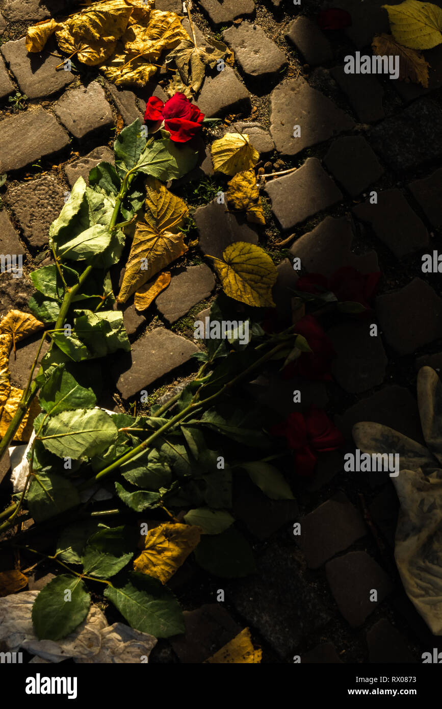 La Rosa sul terreno con un guanto e il cuore rotto Foto Stock