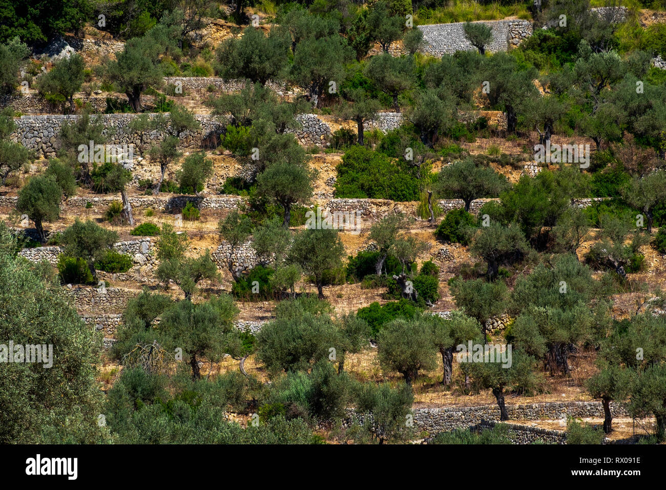 Mallorca Island paesaggio. Montagne di tramontana. Foto Stock