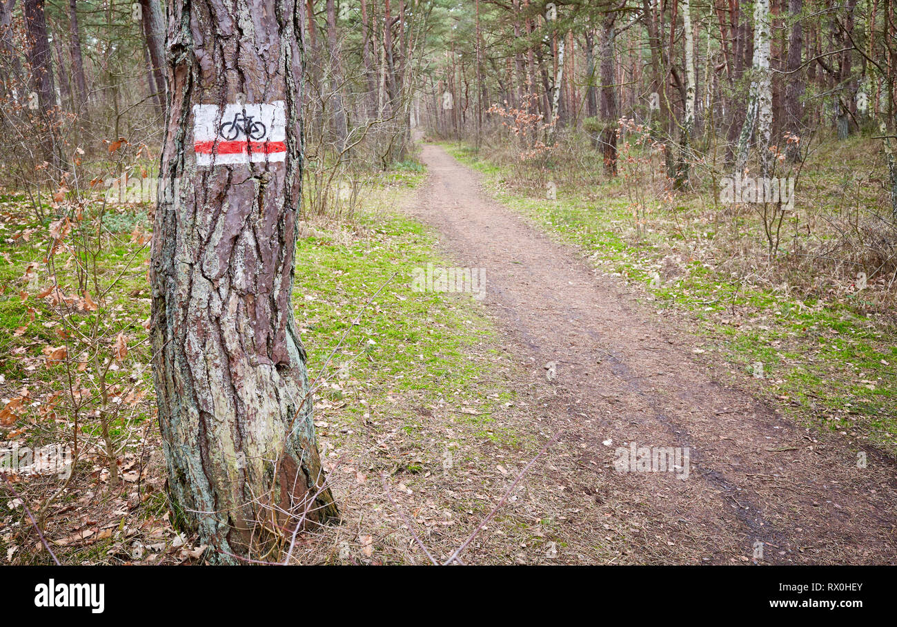 Bike Trail segno su un albero in una fitta foresta. Foto Stock