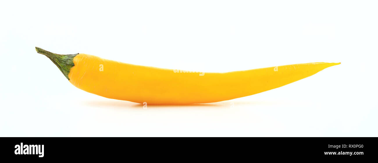 Lungo giallo pepe isolata contro uno sfondo bianco, banner, primo piano Foto Stock
