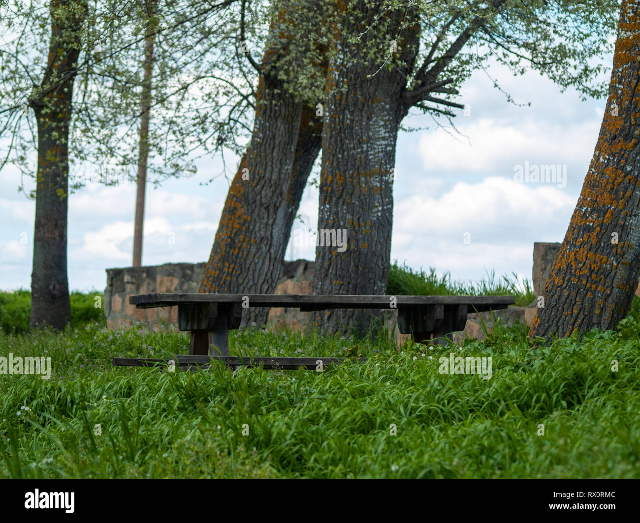 Tavoli in legno e panche in un area picnic tra l'erba Foto Stock