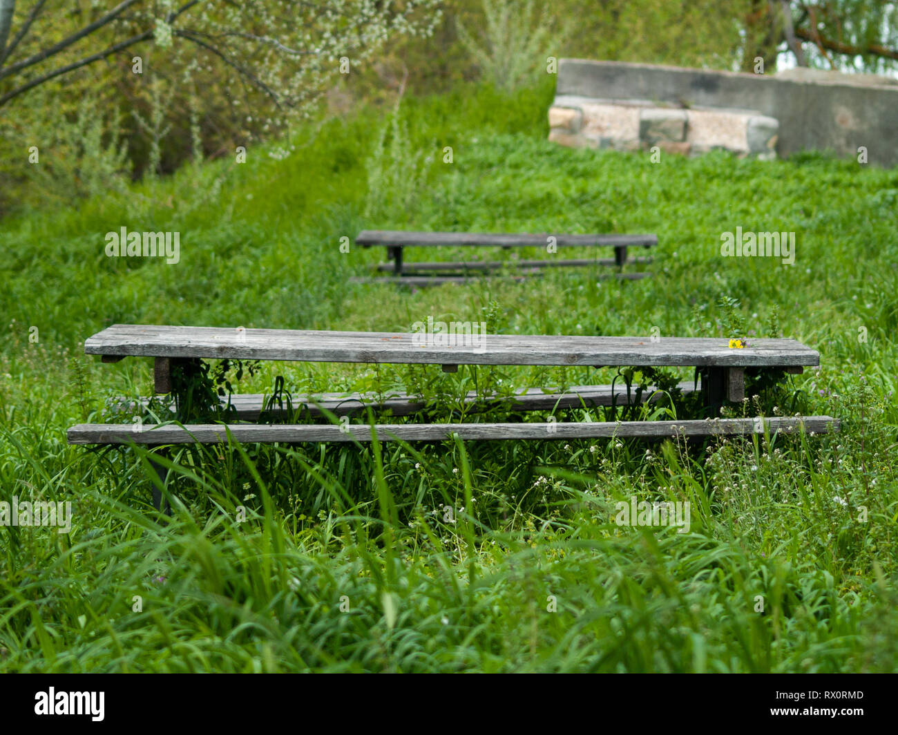 Tavoli in legno e panche in un area picnic tra l'erba Foto Stock