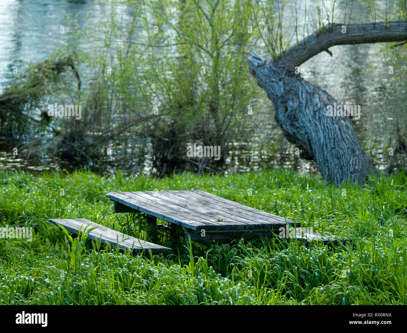 Tavoli in legno e panche in un area picnic in riva del fiume tra l'erba Foto Stock
