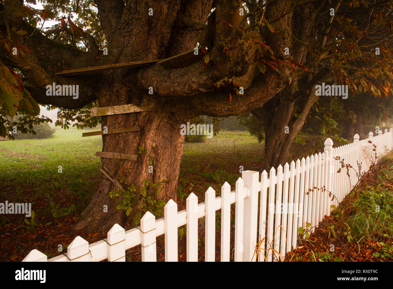 Kids tree house con white Picket Fence lungo la strada di campagna Foto Stock