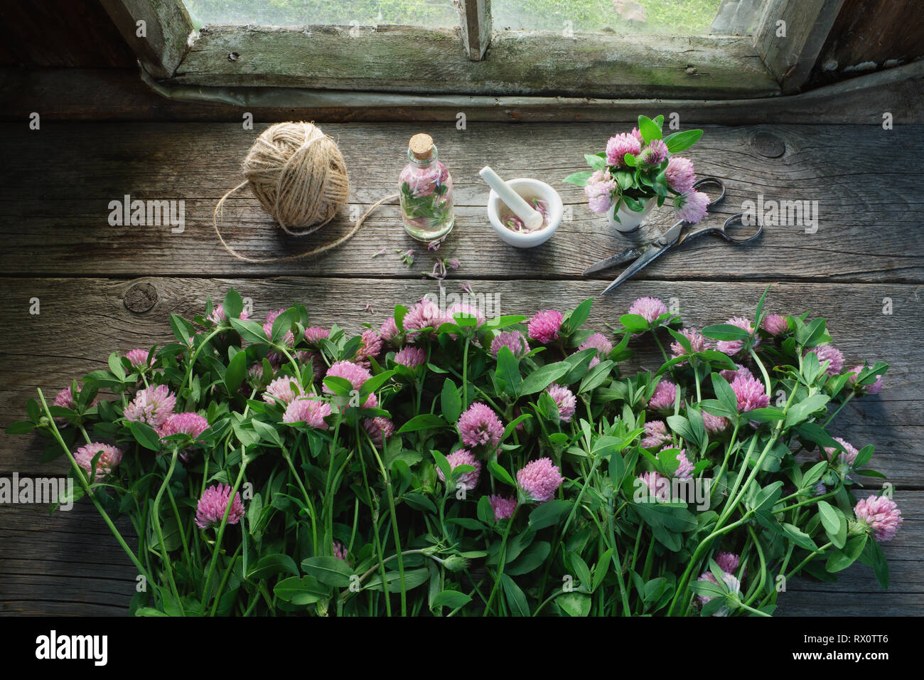 Rosa fiori di trifoglio, Malta, tintura di trifoglio o infusione, forbici e iuta sul vecchio tavolo di legno all'interno del retro della casa di villaggio. Vista dall'alto. Foto Stock