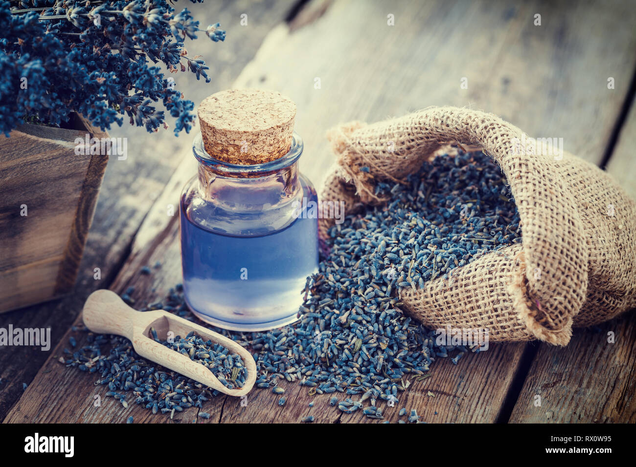 L'olio essenziale di lavanda o infusione, hessian sacchetto di lavanda secca e scatola di legno di fiori secchi. Foto Stock