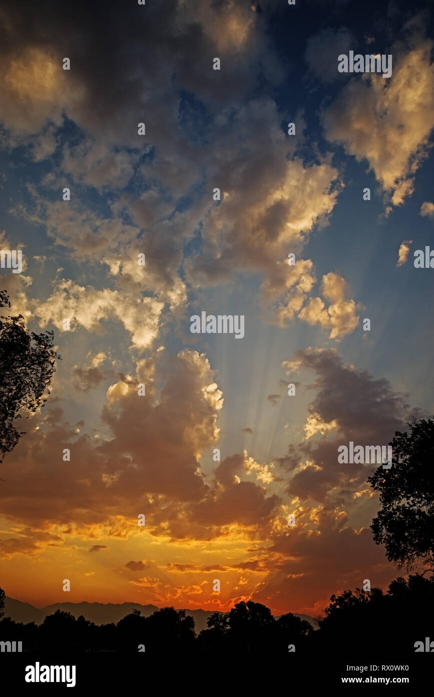 Verticale immagine tramonto tra gli alberi con le nuvole e raggi solari Foto Stock