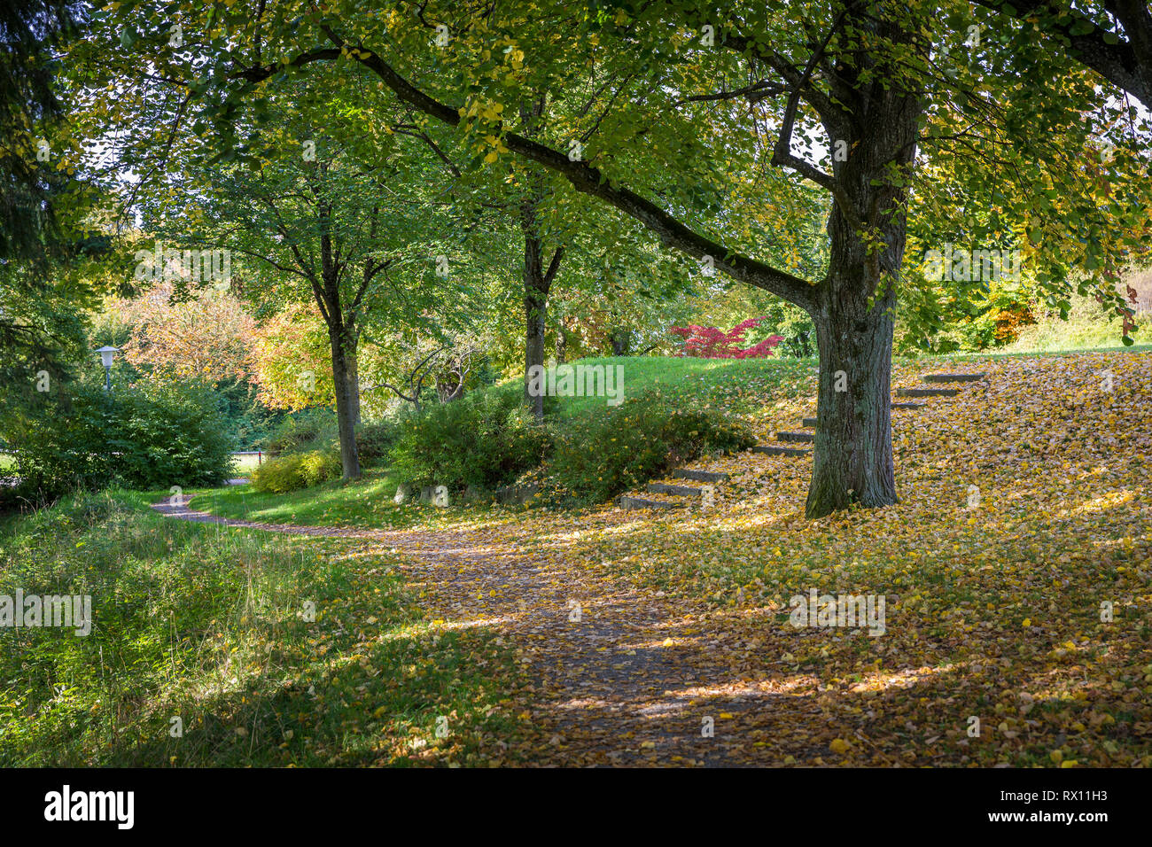 Herbststimmung am Hoyerberg bei Lindau Foto Stock