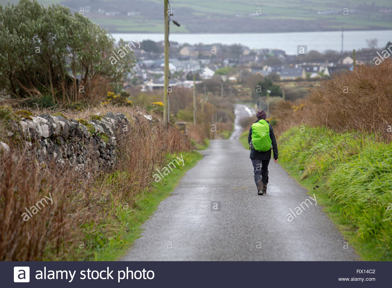 Un viaggiatore cammina la strada verso la città di Dingle in un freddo giorno di marzo sportive un colore verde brillante zaino. Foto Stock