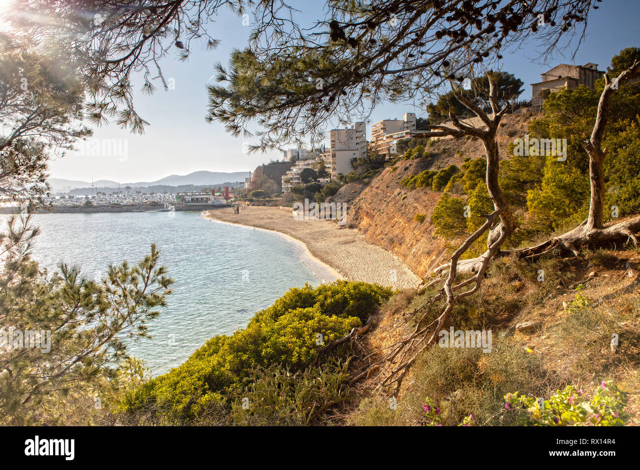 La baia di Portals Nous in Mallorca, Spagna Foto Stock