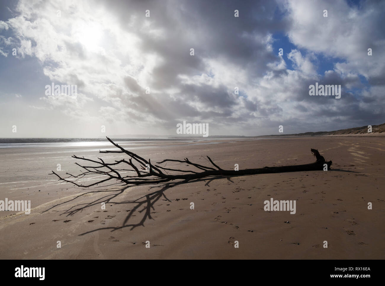 Si lava-up sulla struttura Camber Sands con cielo tempestoso, campanatura, nei pressi di segale, East Sussex, England, Regno Unito, Europa Foto Stock