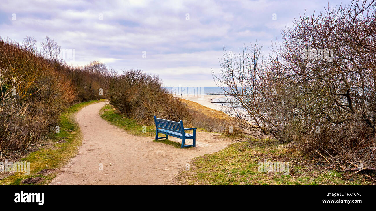 Banco di blu sulla scogliera in Ahrenshoop sul Mar Baltico. Meclenburgo-pomerania Occidentale, Germania Foto Stock