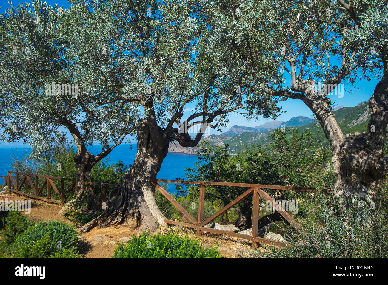 Mallorca Island paesaggio. Montagne di tramontana. Foto Stock