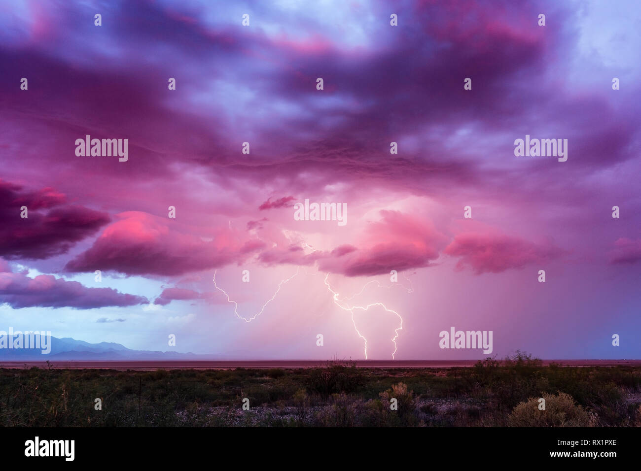 Fulmine che colpisce da una tempesta sopra la Willcox Playa al tramonto a Willcox, Arizona, Stati Uniti Foto Stock