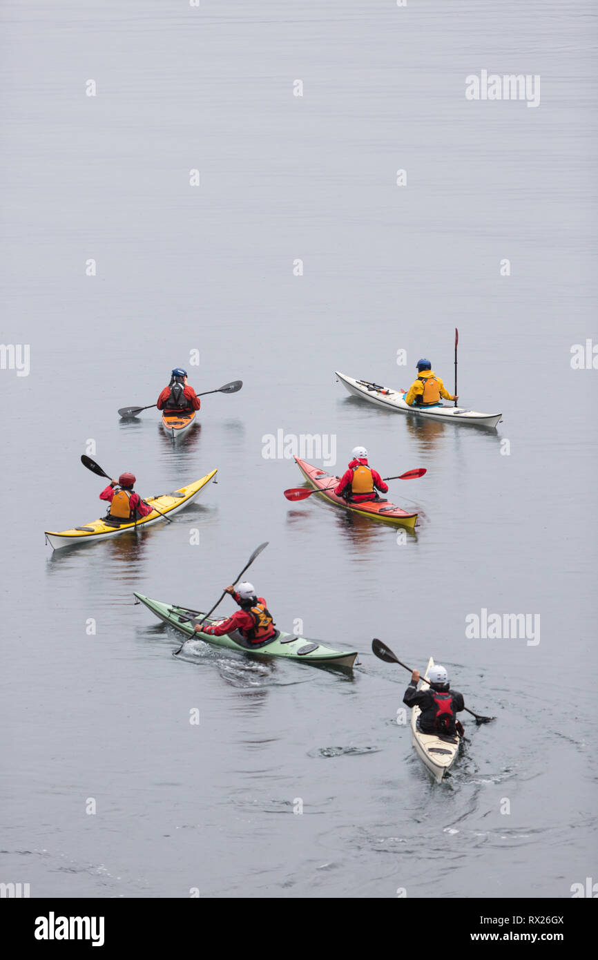 Un gruppo di kayak parte dal Discovery Island Lodge per una giornata di esplorazione delle acque pedalate intorno alle Discovery Islands. Quadra Island, Discovery Islands, British Columbia, Canada Foto Stock
