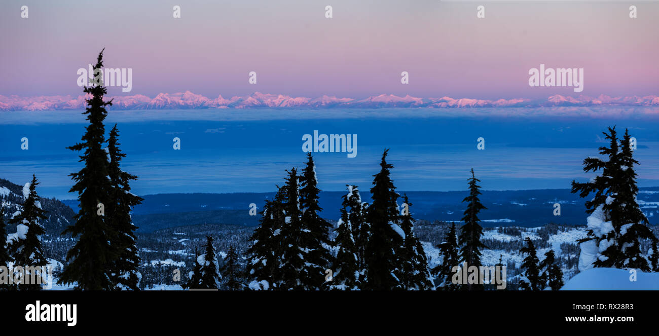 Le tonalità fredde si depositano su una foresta costiera con la British Columbia Coast Range e lo stretto di Georgia sullo sfondo dopo il tramonto. Comox Valley, Vancouver Island, British Columbia, Canada Foto Stock