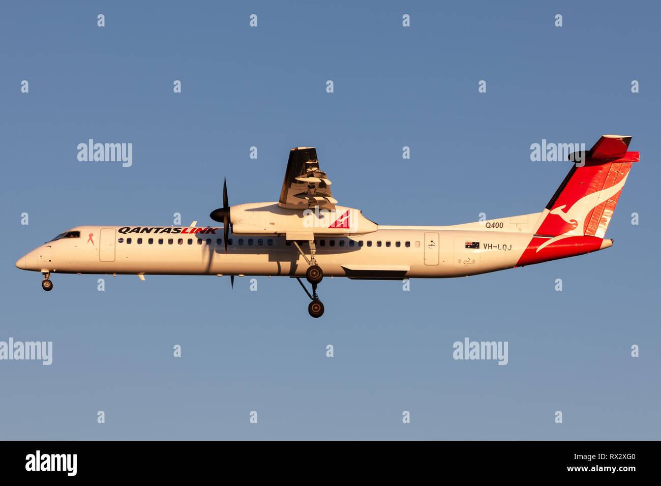 QantasLink (Sunstate airlines) Bombardier DHC-8-402 twin motore a turboelica regionali di aereo di linea sulla rotta di avvicinamento ad atterrare all'Aeroporto di Adelaide. Foto Stock