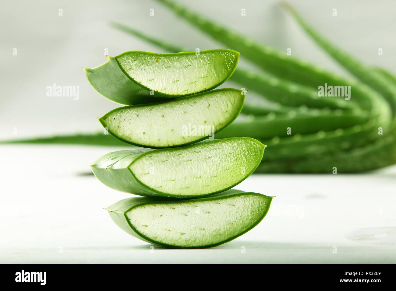 Aloe vera pianta di erbe fette della foglia Foto Stock